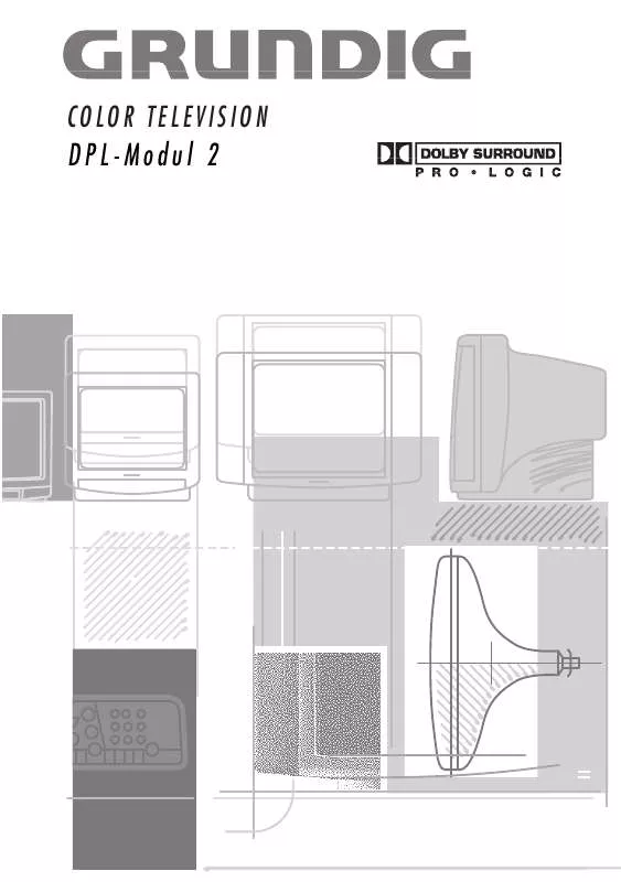 Mode d'emploi GRUNDIG MODUL DPL 2